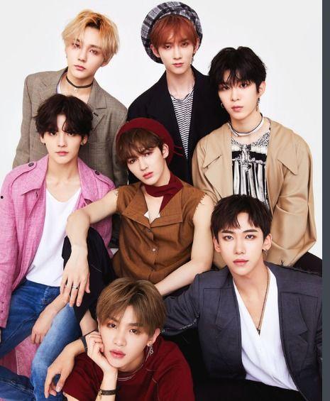 乐化七子爆料最新消息,最新动态揭秘，娱乐圈风云再起！